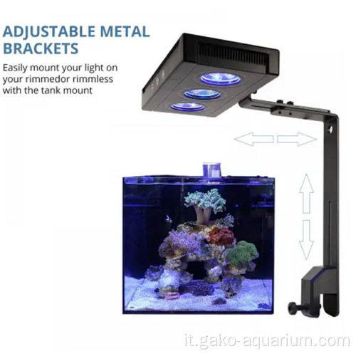 Serbello di pesce in acqua salata LED LED per marina